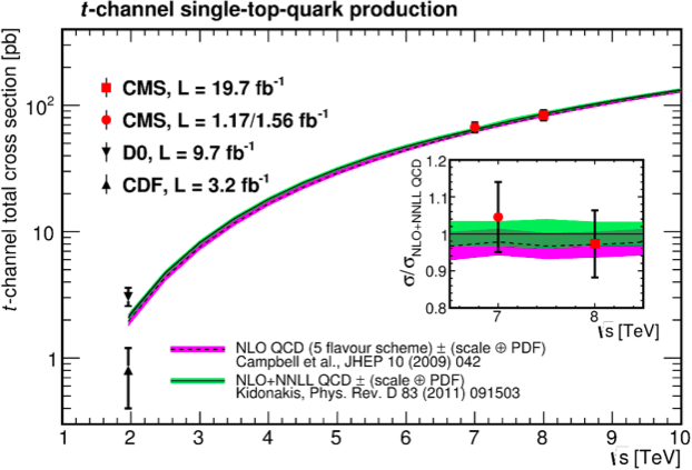 quark singoli cms