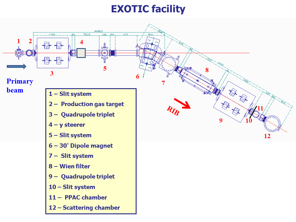 exotic